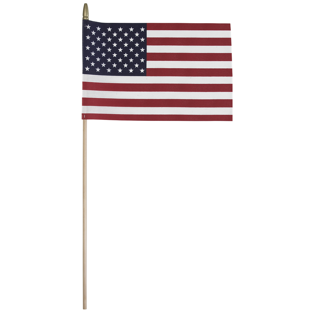 8" x 12" Betsy Flags Sentinel® USA Flag and Display